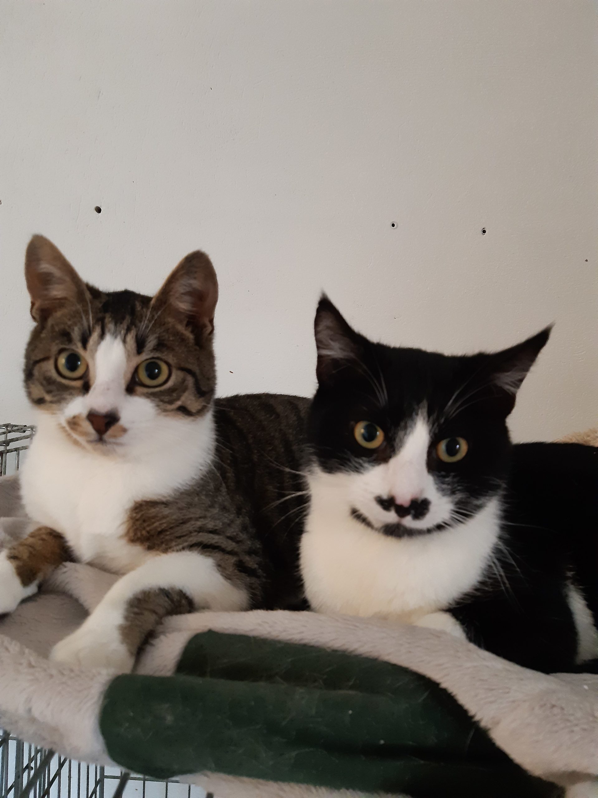 Moritz a Charlie