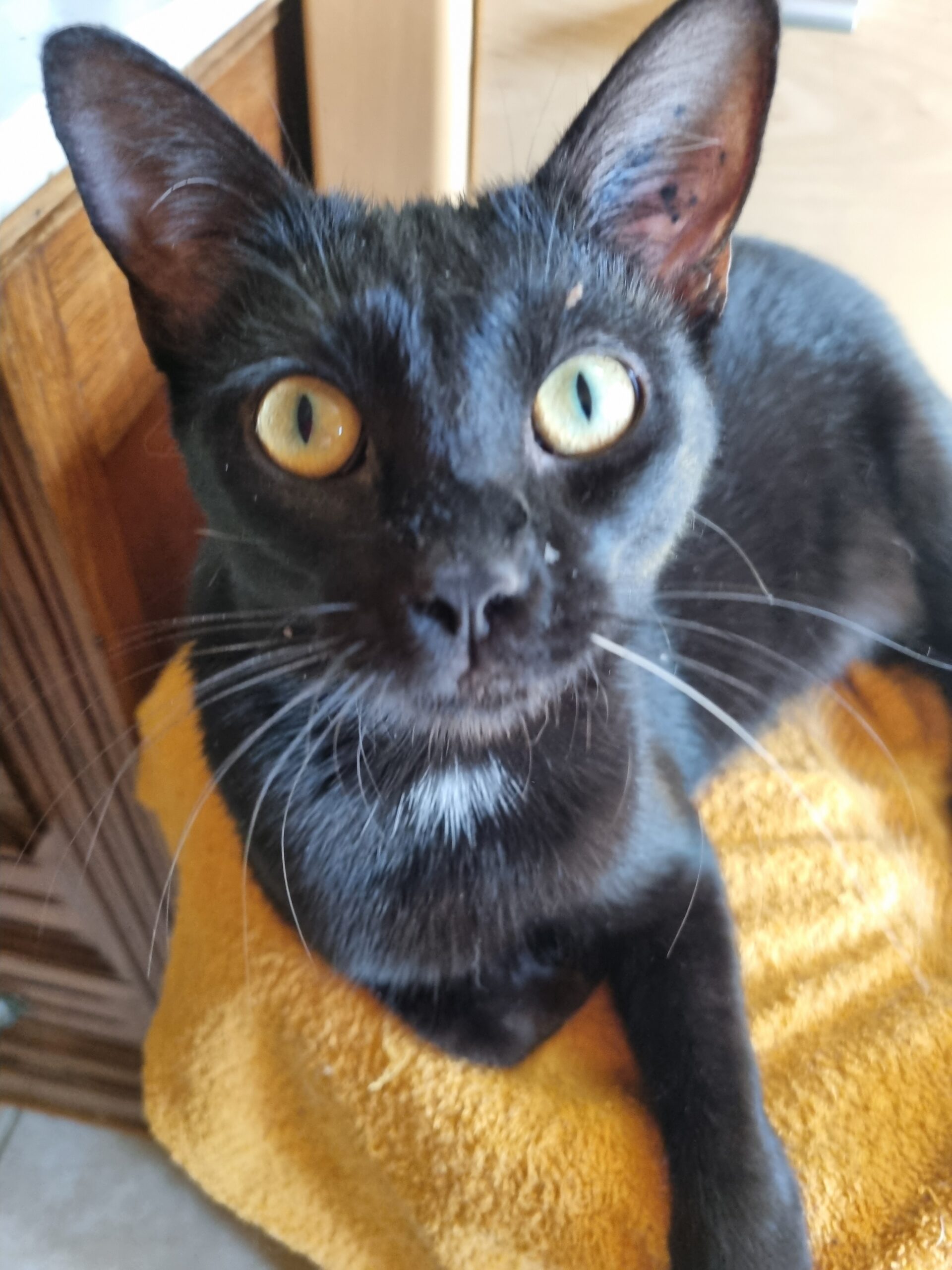 Luna